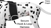 Get Realtime Pet Locations w/ Pet Tracker Mini Cat Dog GPS Tracking Collar Size:S