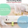 seagi Interactive Dog Toys – Durable Automatic Bouncing & Vibrating Interactive Dog Ball for Smart Play
